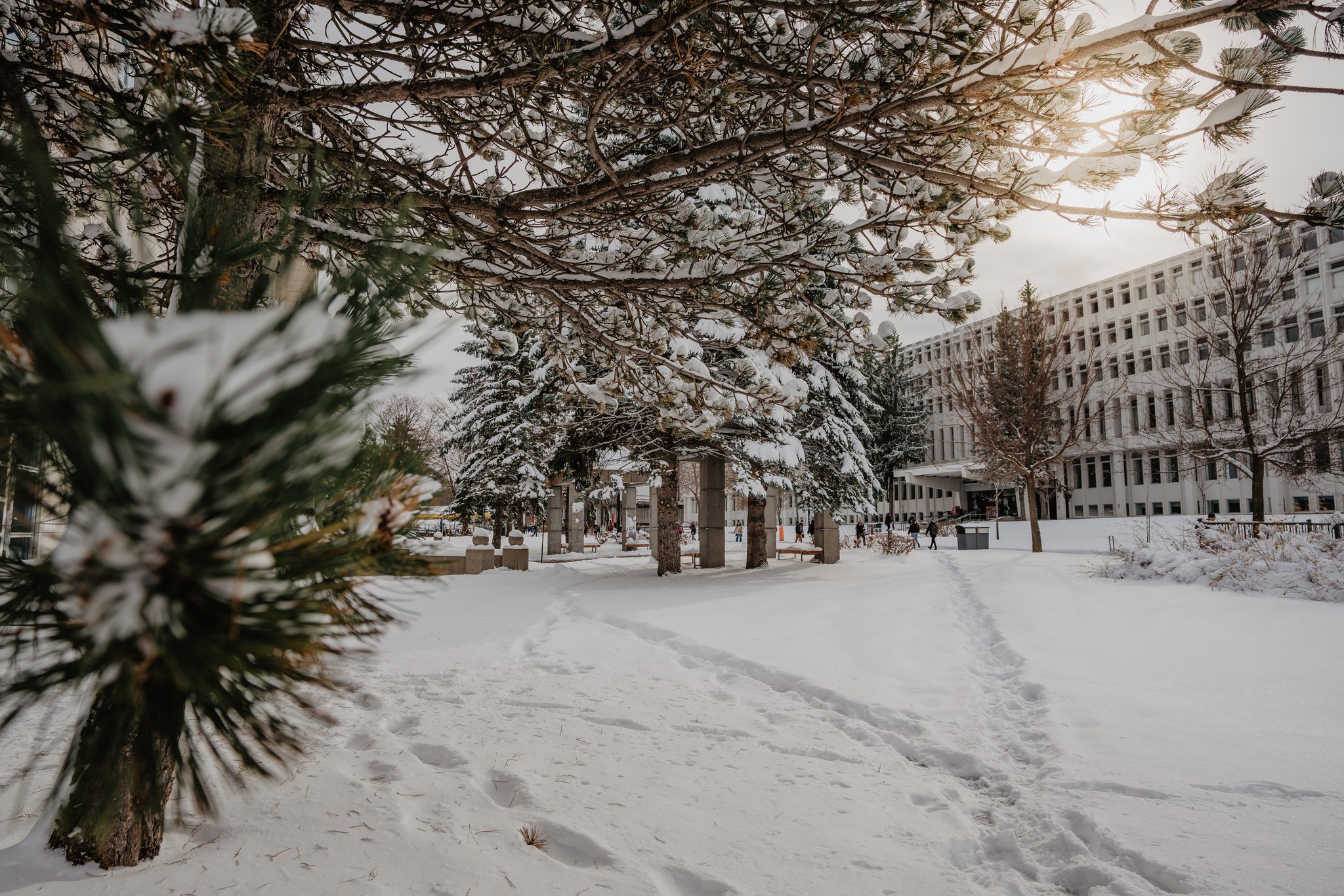 "Québec est une ville à taille humaine où l'on se sent immédiatement en sécurité. C'est un environnement très apaisant pour étudier." — Capucine